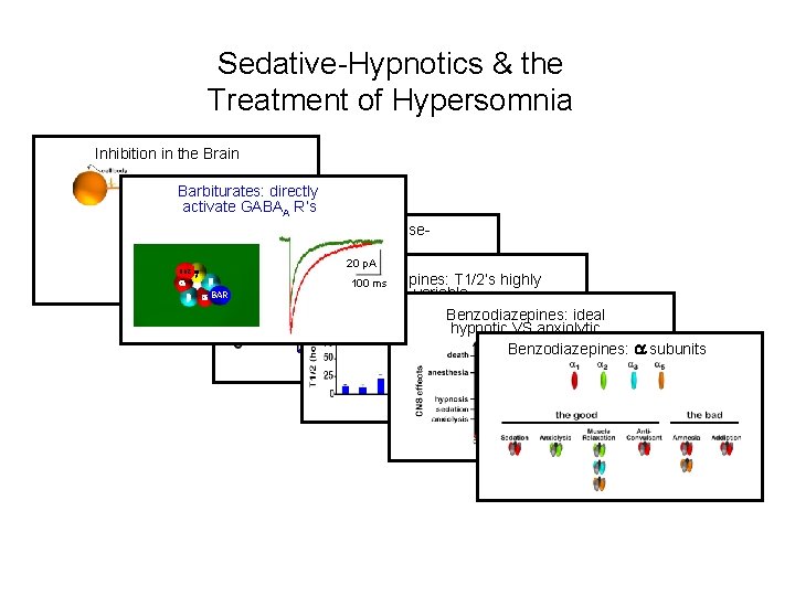 Sedative-Hypnotics & the Treatment of Hypersomnia Inhibition in the Brain Barbiturates: directly Benzodiazepines: positive