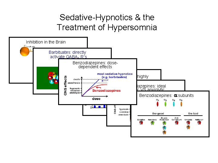 Sedative-Hypnotics & the Treatment of Hypersomnia Inhibition in the Brain Barbituates: directly activate GABAA