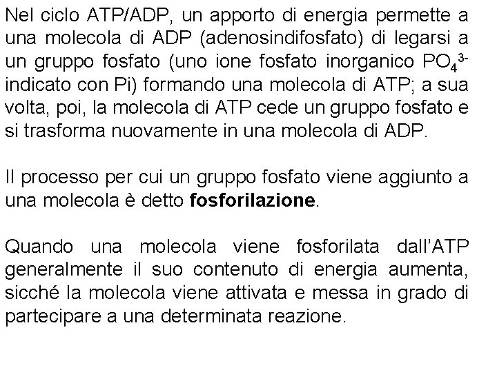 Nel ciclo ATP/ADP, un apporto di energia permette a una molecola di ADP (adenosindifosfato)