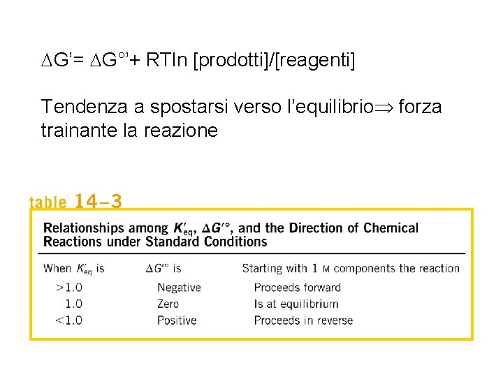 DG’= DG°’+ RTln [prodotti]/[reagenti] Tendenza a spostarsi verso l’equilibrio forza trainante la reazione 