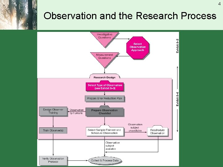 4 Observation and the Research Process 
