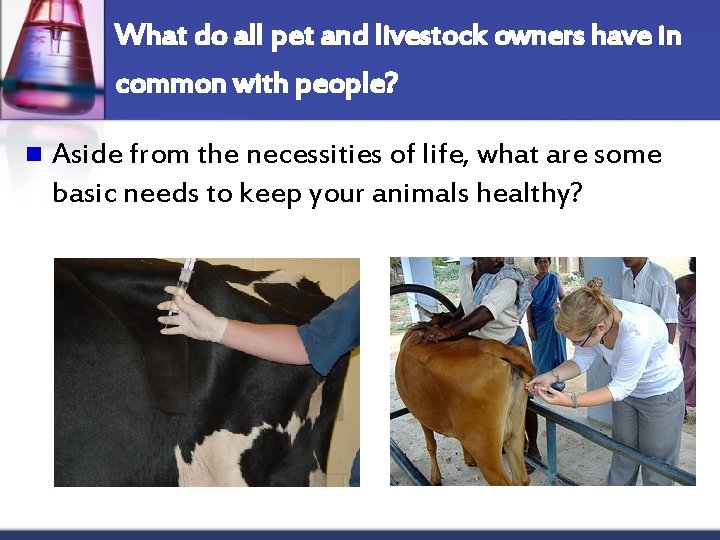 What do all pet and livestock owners have in common with people? n Aside
