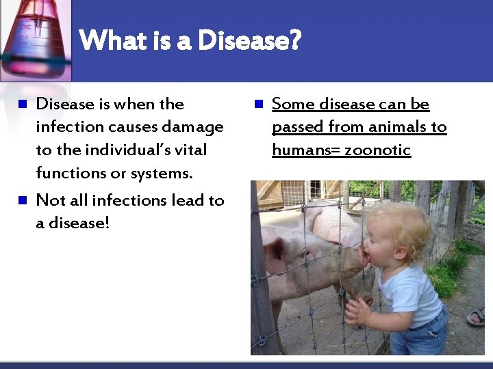 What is a Disease? n n Disease is when the infection causes damage to