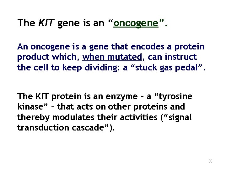 The KIT gene is an “oncogene”. An oncogene is a gene that encodes a