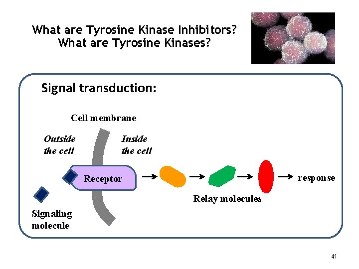 What are Tyrosine Kinase Inhibitors? What are Tyrosine Kinases? Signal transduction: Cell membrane Outside