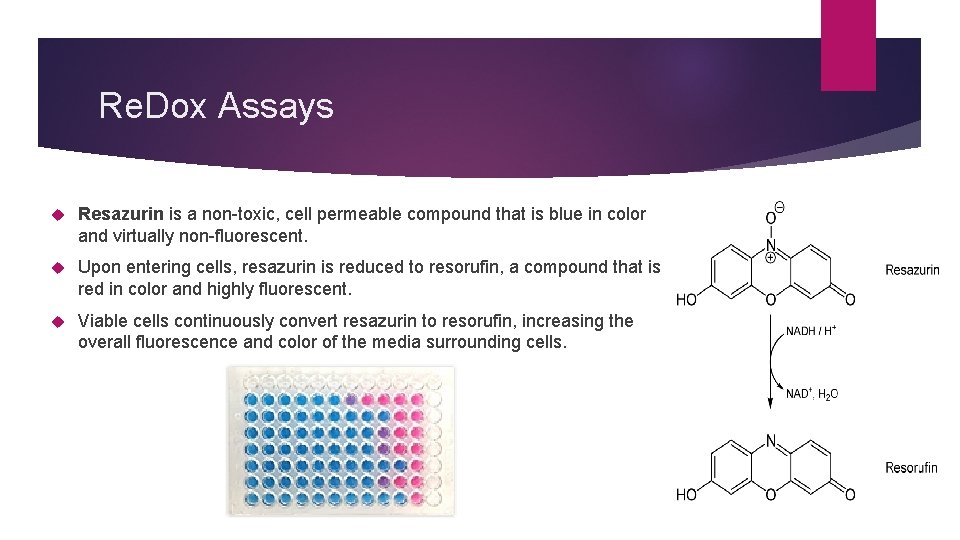 Re. Dox Assays Resazurin is a non-toxic, cell permeable compound that is blue in