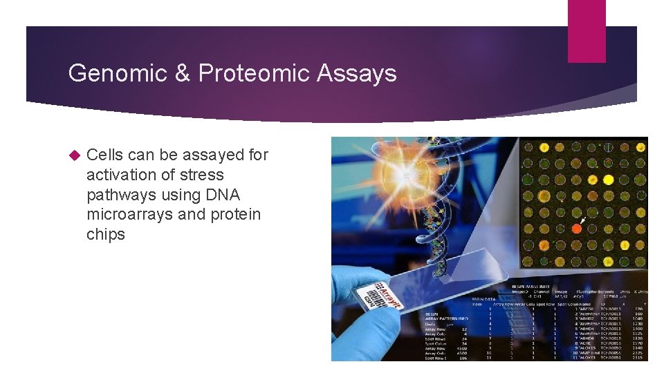 Genomic & Proteomic Assays Cells can be assayed for activation of stress pathways using