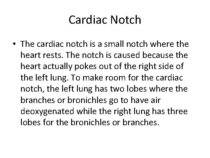 Functions of the parts of the lungs By