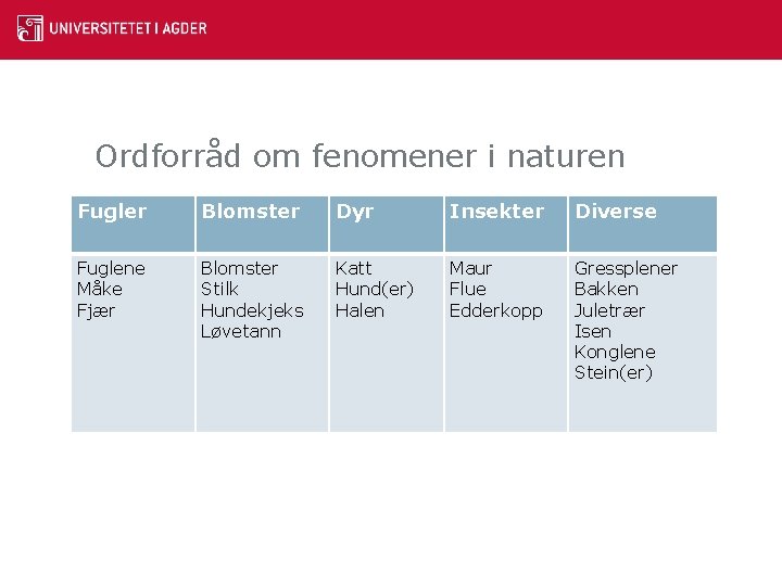 Ordforråd om fenomener i naturen Fugler Blomster Dyr Insekter Diverse Fuglene Måke Fjær Blomster