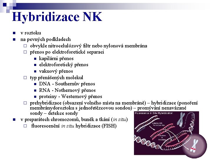 Hybridizace NK n n n v roztoku na pevných podkladech ¨ obvykle nitrocelulózový filtr