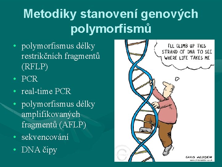 Metodiky stanovení genových polymorfismů • polymorfismus délky restrikčních fragmentů (RFLP) • PCR • real-time