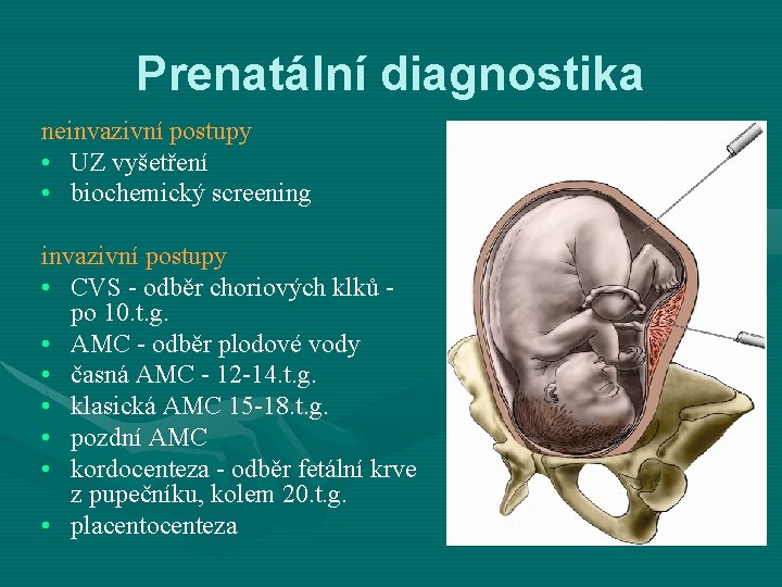 Prenatální diagnostika neinvazivní postupy • UZ vyšetření • biochemický screening invazivní postupy • CVS