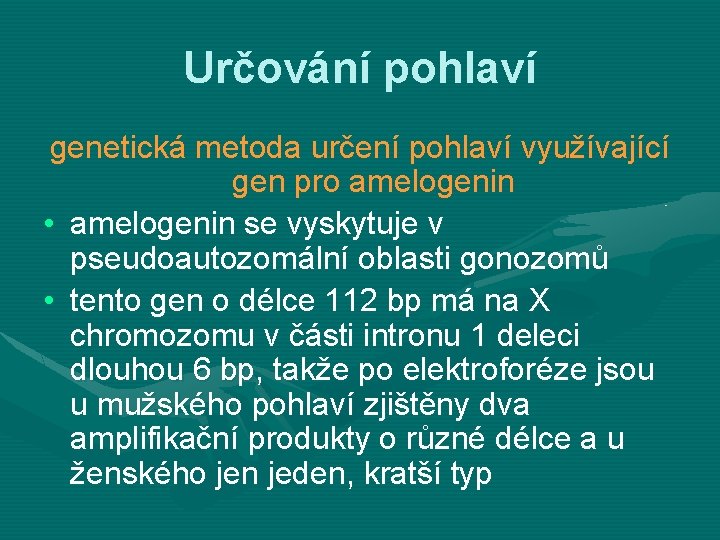 Určování pohlaví genetická metoda určení pohlaví využívající gen pro amelogenin • amelogenin se vyskytuje