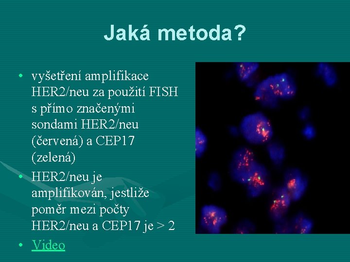 Jaká metoda? • vyšetření amplifikace HER 2/neu za použití FISH s přímo značenými sondami