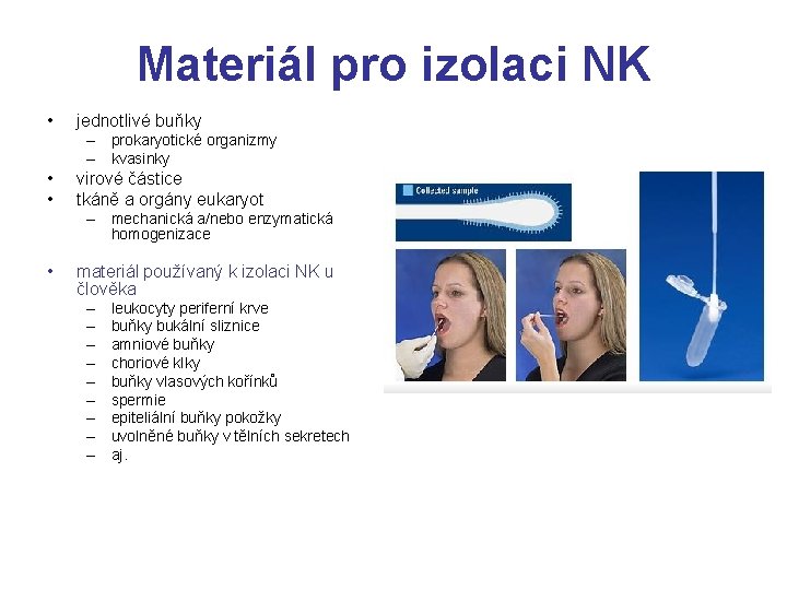 Materiál pro izolaci NK • jednotlivé buňky – prokaryotické organizmy – kvasinky • •