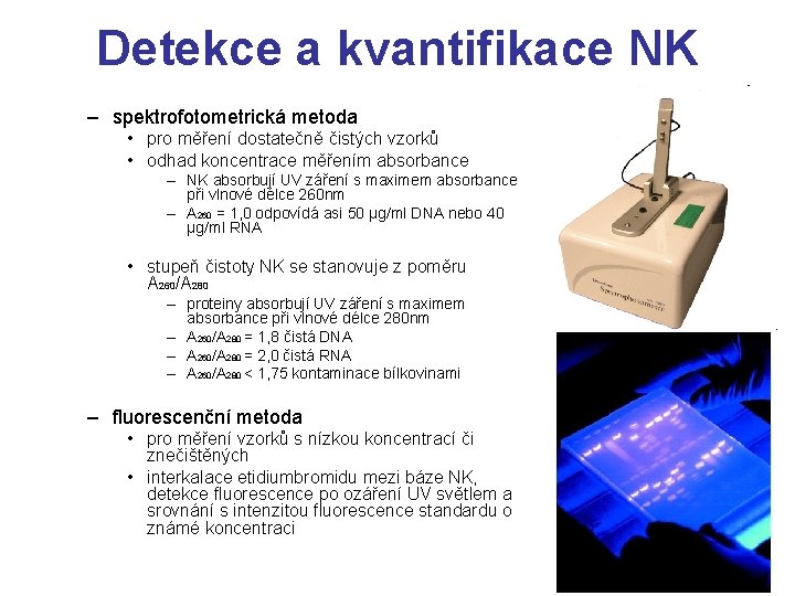 Detekce a kvantifikace NK – spektrofotometrická metoda • pro měření dostatečně čistých vzorků •