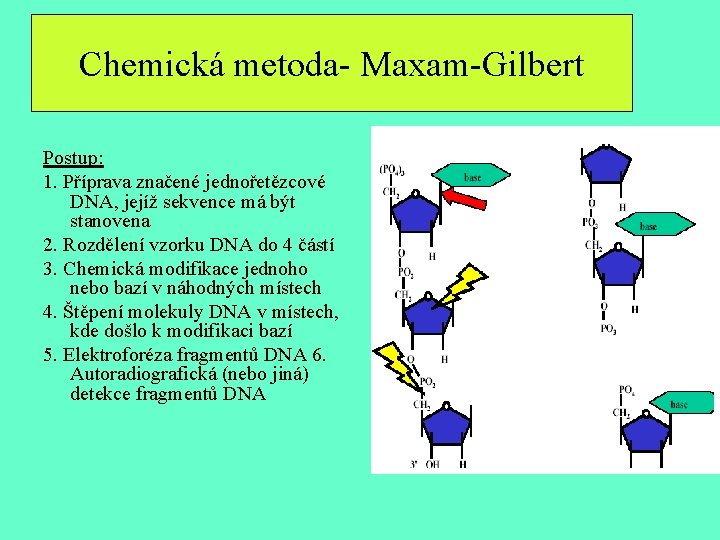 Chemická metoda- Maxam-Gilbert Postup: 1. Příprava značené jednořetězcové DNA, jejíž sekvence má být stanovena