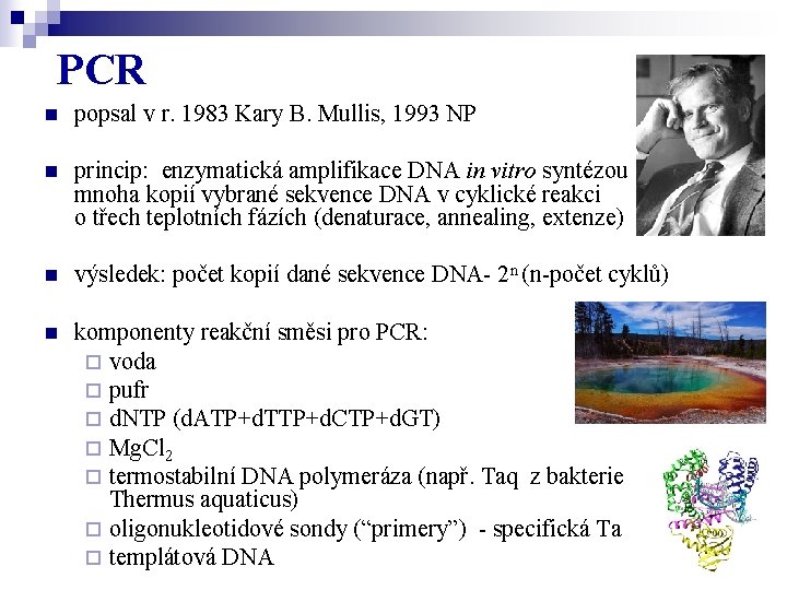 PCR n popsal v r. 1983 Kary B. Mullis, 1993 NP n princip: enzymatická