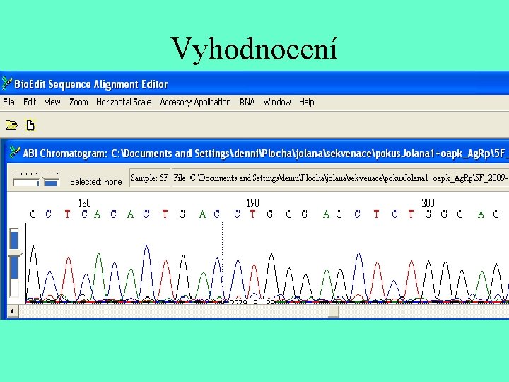 Vyhodnocení 