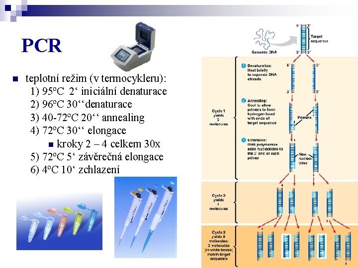 PCR n teplotní režim (v termocykleru): 1) 95ºC 2‘ iniciální denaturace 2) 96ºC 30‘‘denaturace