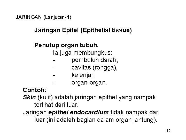 JARINGAN (Lanjutan-4) Jaringan Epitel (Epithelial tissue) Penutup organ tubuh. Ia juga membungkus: pembuluh darah,