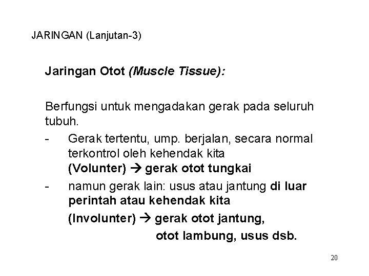 JARINGAN (Lanjutan-3) Jaringan Otot (Muscle Tissue): Berfungsi untuk mengadakan gerak pada seluruh tubuh. Gerak