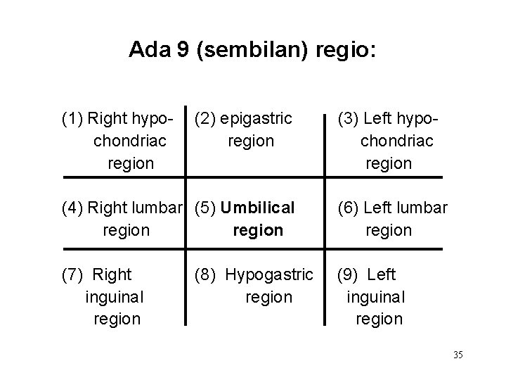 Ada 9 (sembilan) regio: (1) Right hypochondriac region (2) epigastric region (3) Left hypochondriac