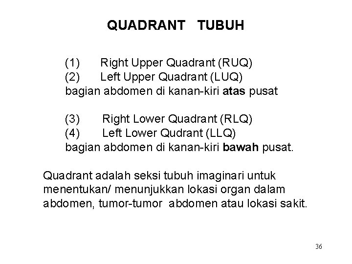 QUADRANT TUBUH (1) Right Upper Quadrant (RUQ) (2) Left Upper Quadrant (LUQ) bagian abdomen