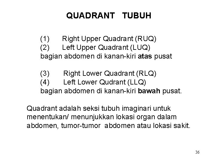 QUADRANT TUBUH (1) Right Upper Quadrant (RUQ) (2) Left Upper Quadrant (LUQ) bagian abdomen
