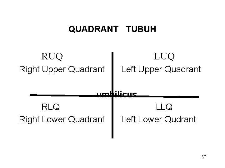 QUADRANT TUBUH RUQ LUQ Right Upper Quadrant Left Upper Quadrant umbilicus RLQ Right Lower