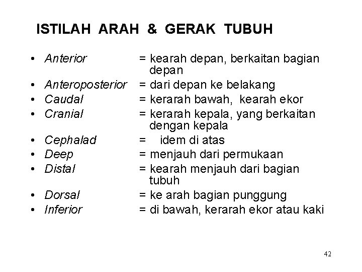 ISTILAH ARAH & GERAK TUBUH • Anterior • Anteroposterior • Caudal • Cranial •