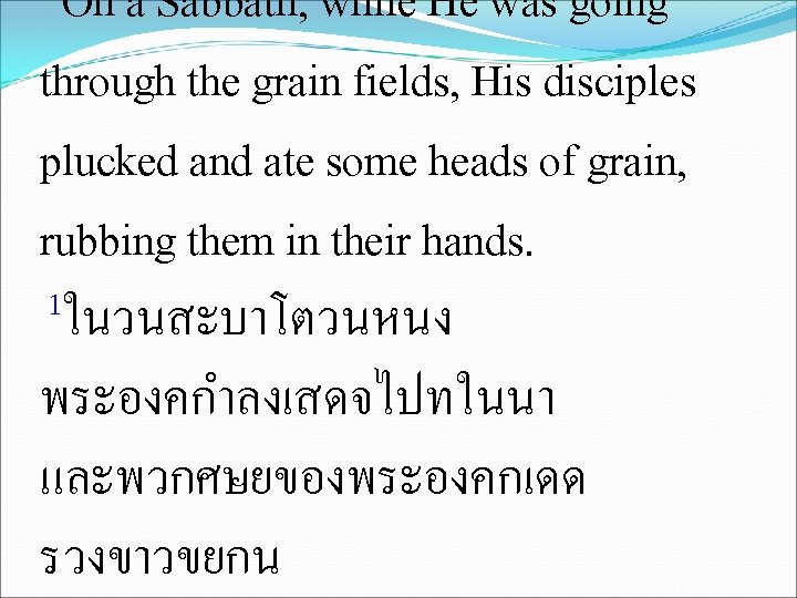 On a Sabbath, while He was going through the grain fields, His disciples plucked