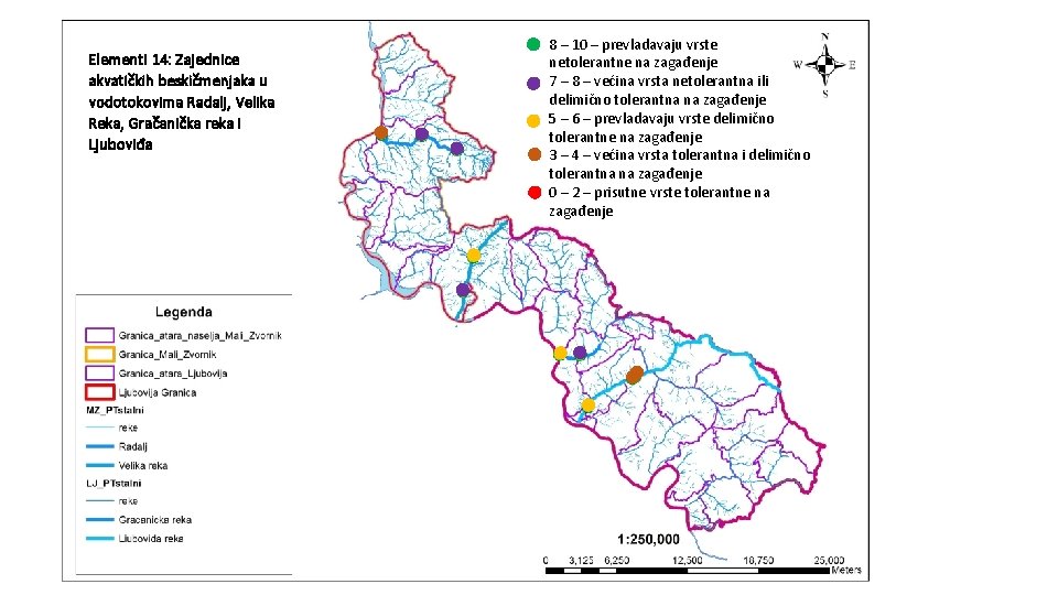 Elementi 14: Zajednice akvatičkih beskičmenjaka u vodotokovima Radalj, Velika Reka, Gračanička reka i Ljuboviđa