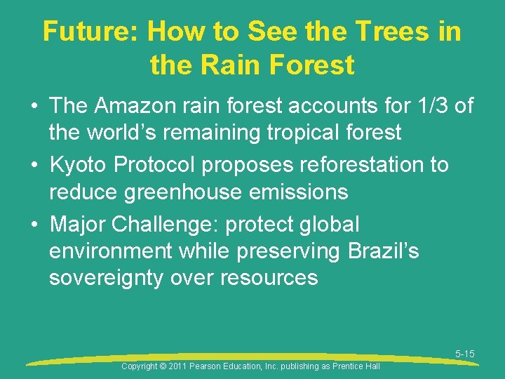 Future: How to See the Trees in the Rain Forest • The Amazon rain