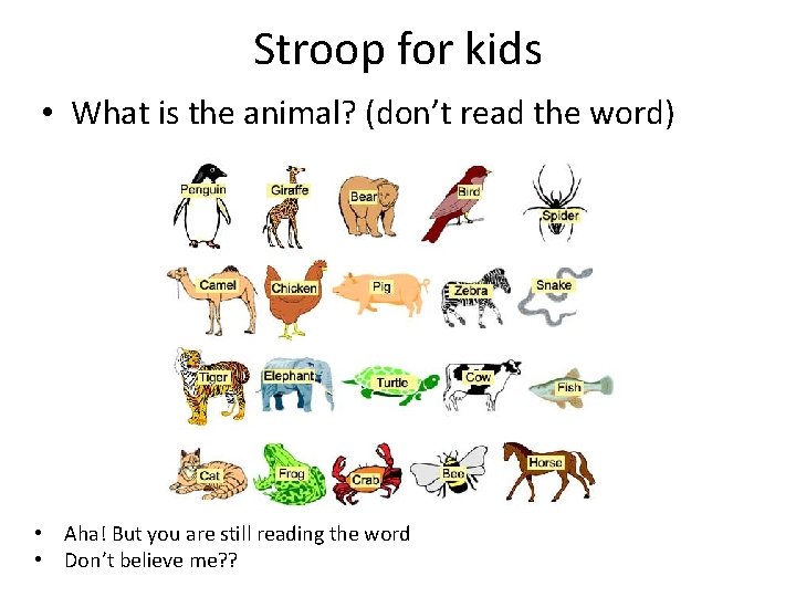 Stroop for kids • What is the animal? (don’t read the word) • Aha!