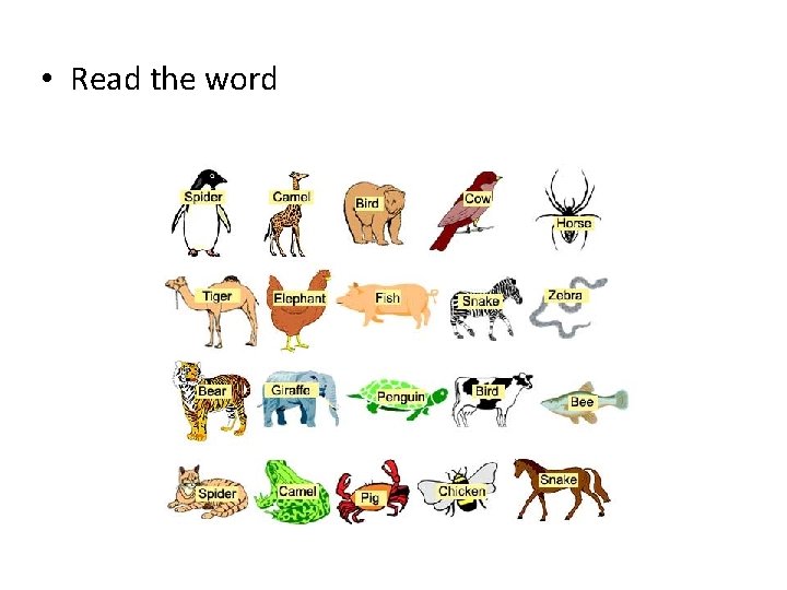  • Read the word 