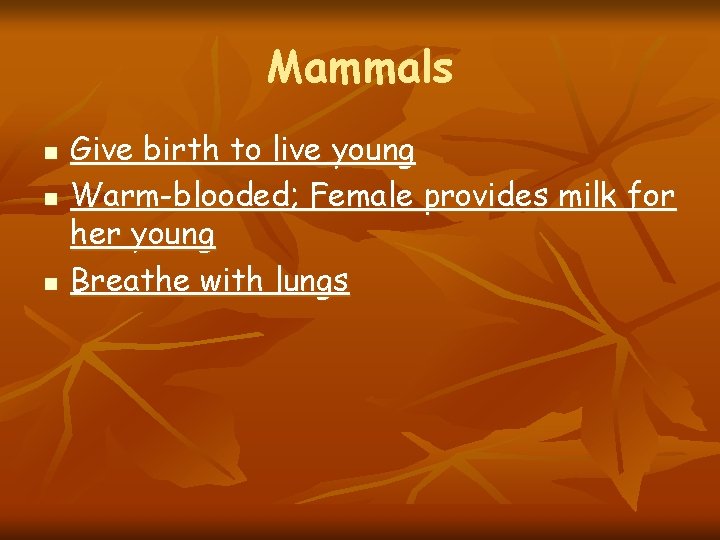 Mammals n n n Give birth to live young Warm-blooded; Female provides milk for