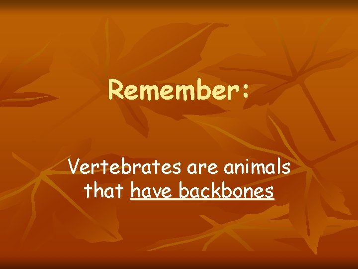 Remember: Vertebrates are animals that have backbones 