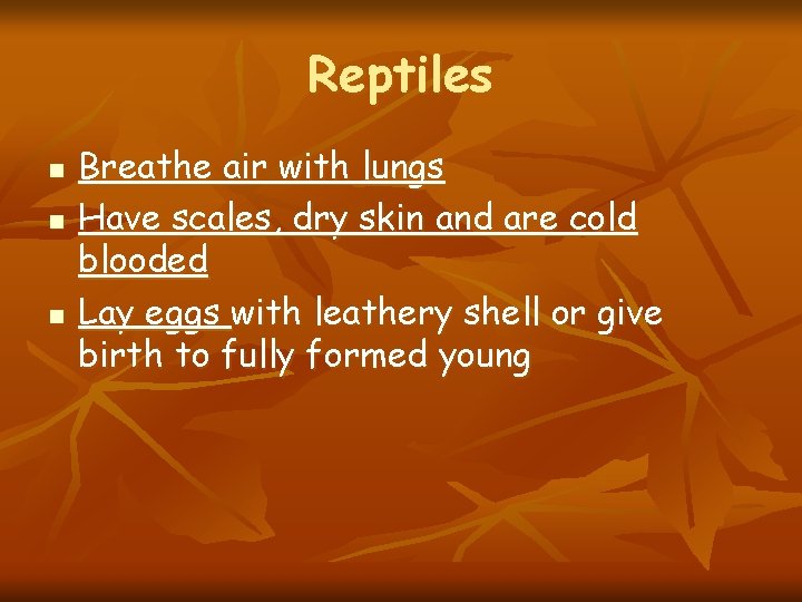 Reptiles n n n Breathe air with lungs Have scales, dry skin and are