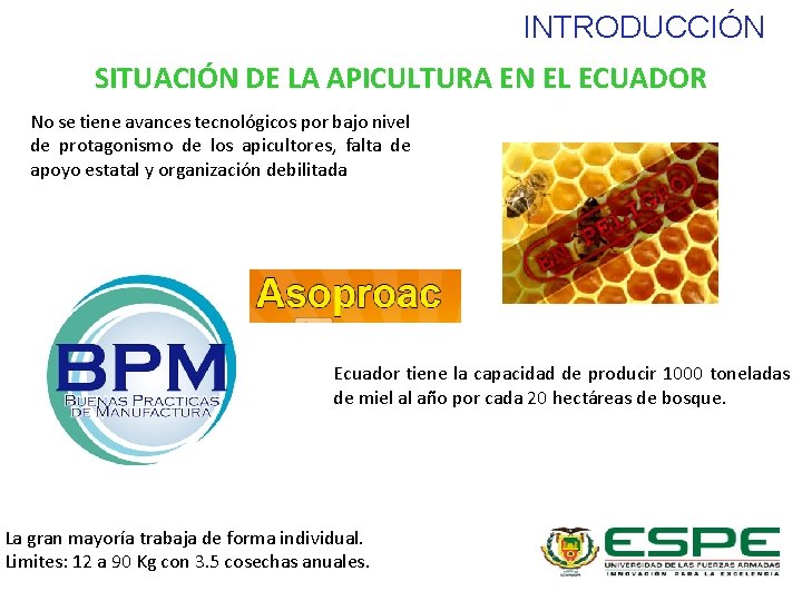 INTRODUCCIÓN SITUACIÓN DE LA APICULTURA EN EL ECUADOR No se tiene avances tecnológicos por