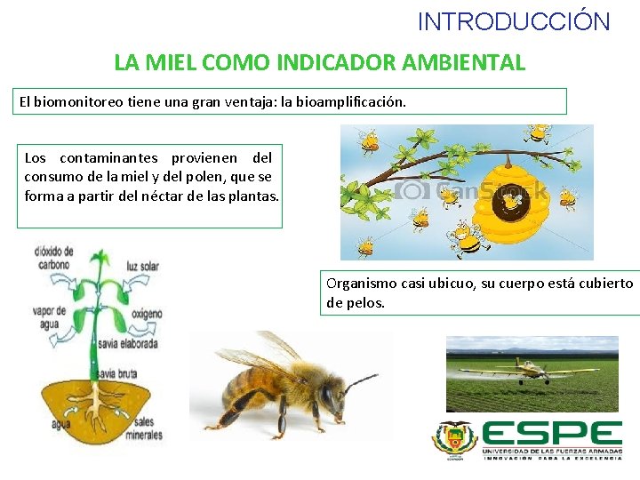 INTRODUCCIÓN LA MIEL COMO INDICADOR AMBIENTAL El biomonitoreo tiene una gran ventaja: la bioamplificación.