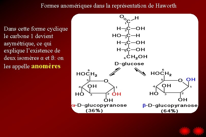 Formes anomériques dans la représentation de Haworth Dans cette forme cyclique le carbone 1