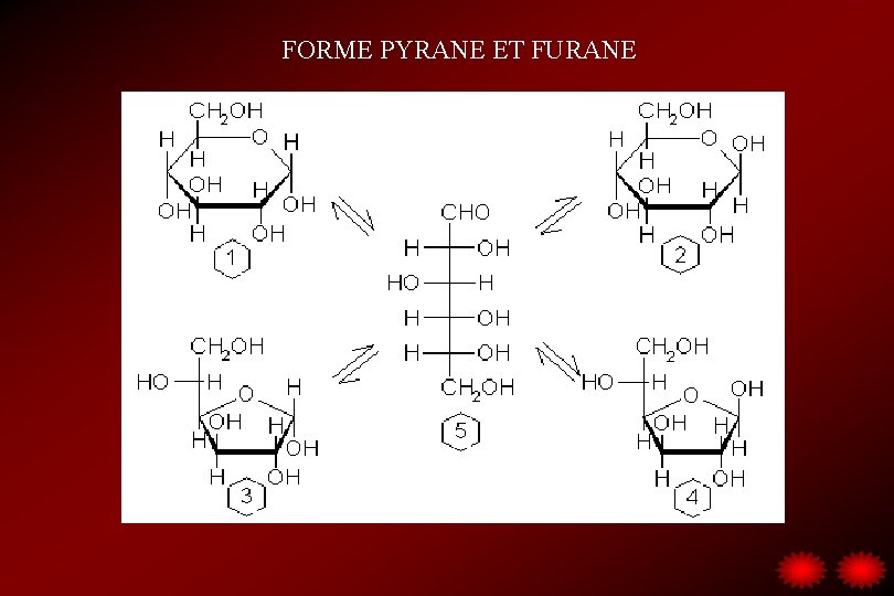 FORME PYRANE ET FURANE 