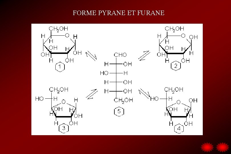 FORME PYRANE ET FURANE 