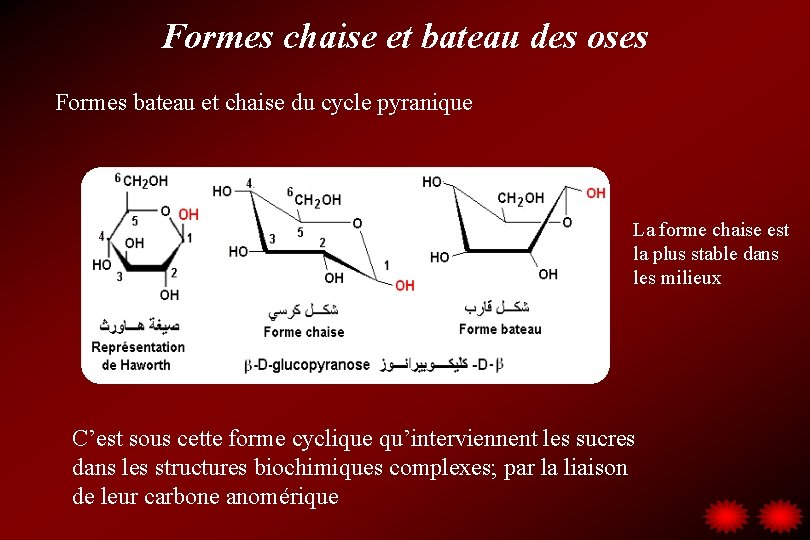 Formes chaise et bateau des oses Formes bateau et chaise du cycle pyranique La