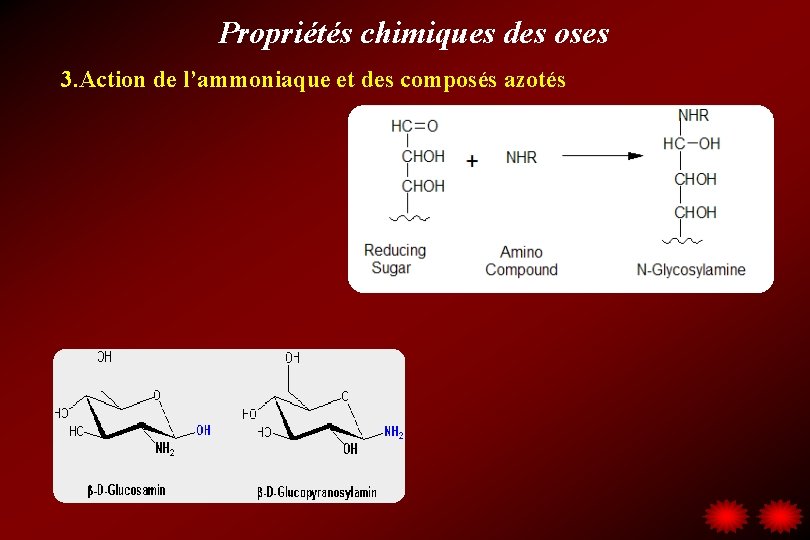 Propriétés chimiques des oses 3. Action de l’ammoniaque et des composés azotés 