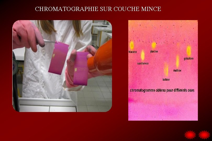 CHROMATOGRAPHIE SUR COUCHE MINCE 