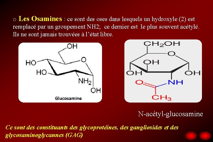 o Les Osamines : ce sont des oses dans lesquels un hydroxyle (2) est