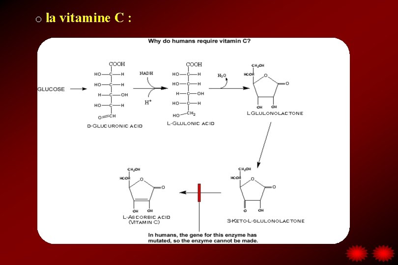 o la vitamine C : 