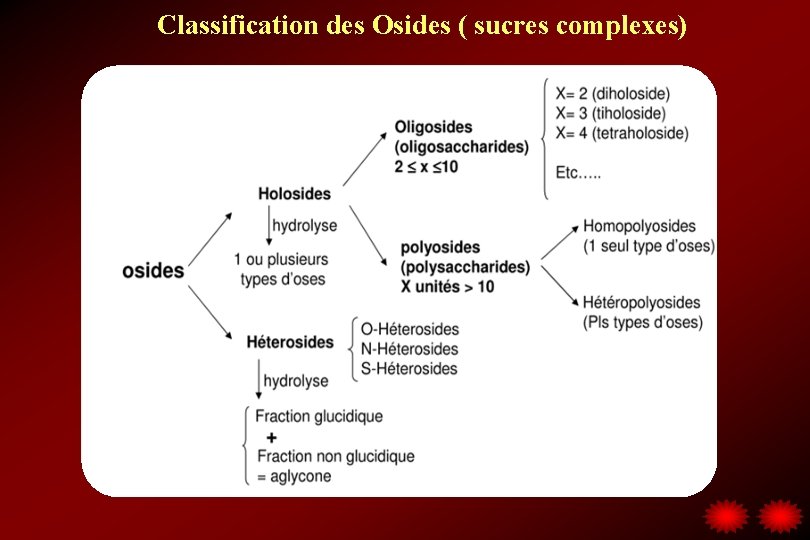 Classification des Osides ( sucres complexes) 